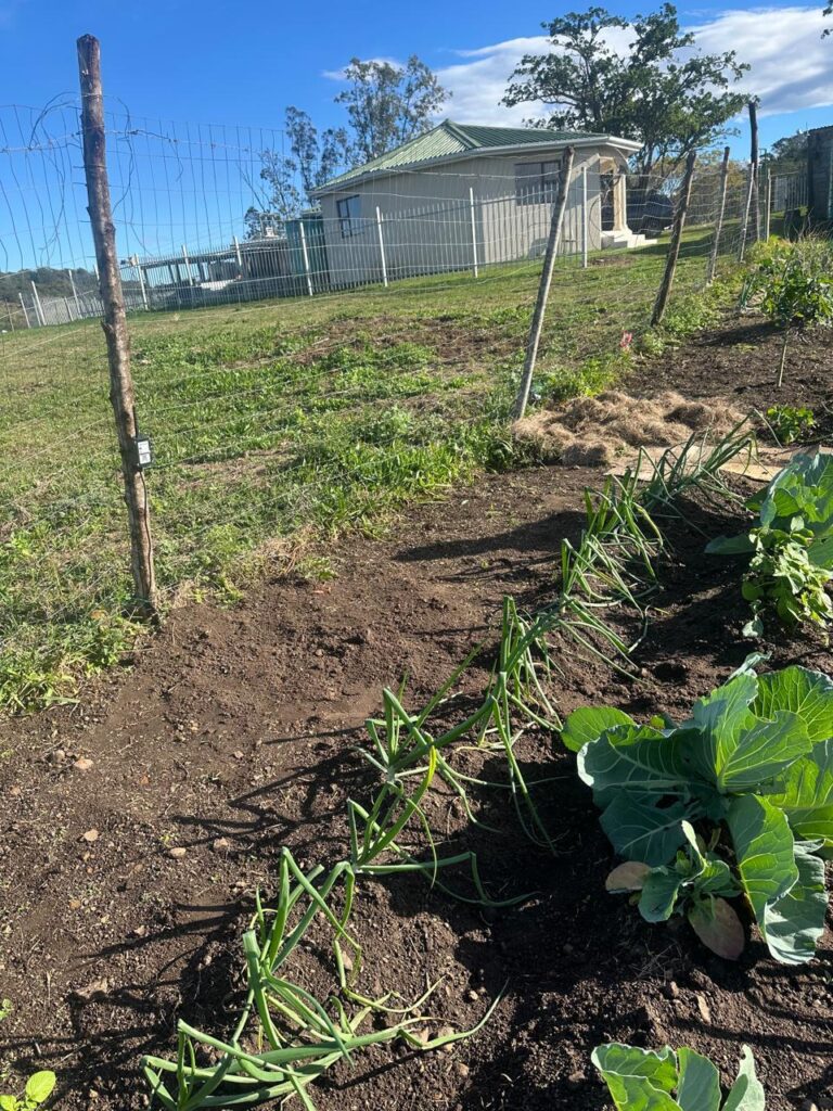 Field Garden Soil sensor monitoring the Field Garden at Riverbend Farming Enterprises