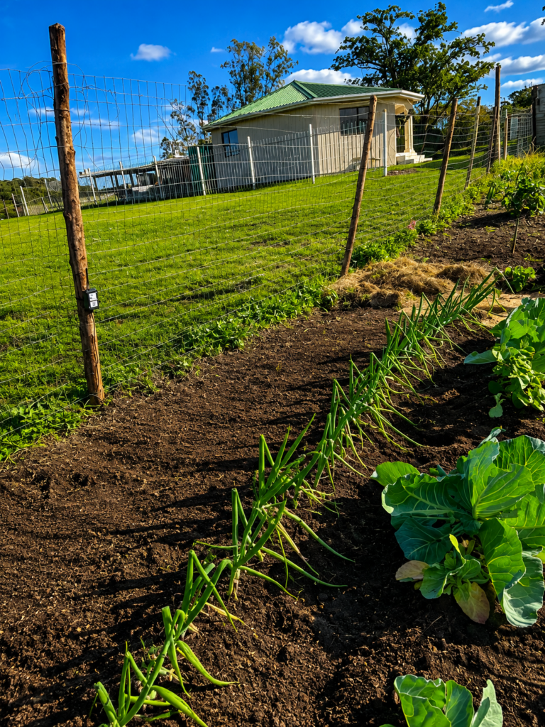 Field garden